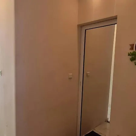 Paradise Apartment